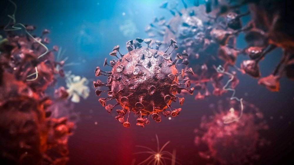 Covid-19 ABD'de yüzlerce geyiği enfekte etti: Bilim insanlarından yeni varyant uyarısı - 7