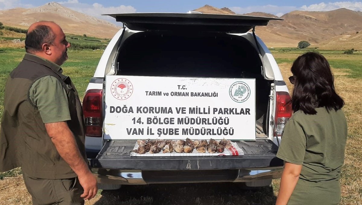 Üç avcıya 57 bin lira ceza Üç avcıya 57 bin lira ceza