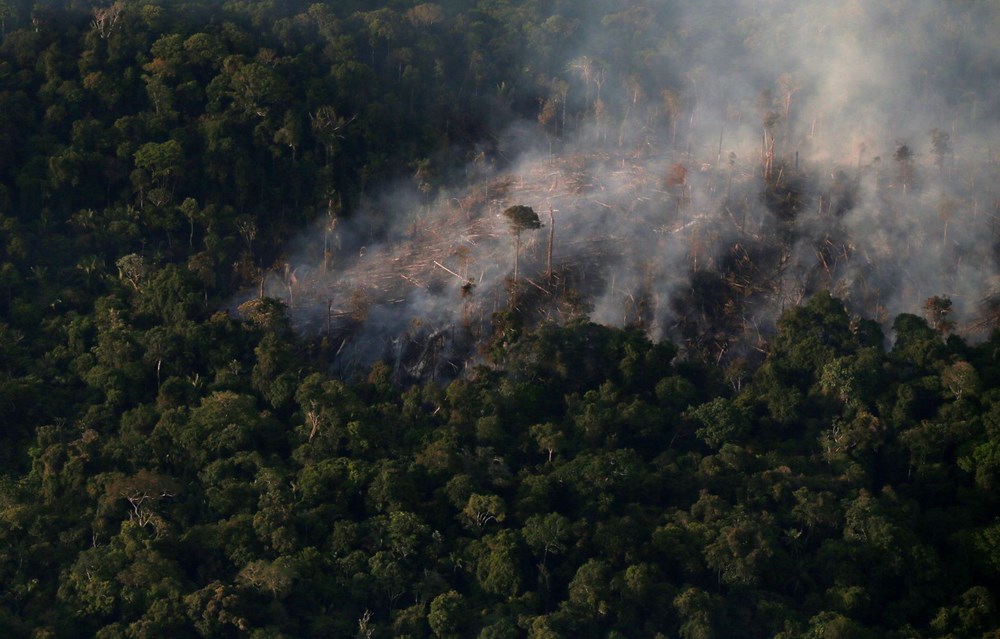 Amazon'daki ormansızlaşma salgın döneminde artış gösterdi - 2