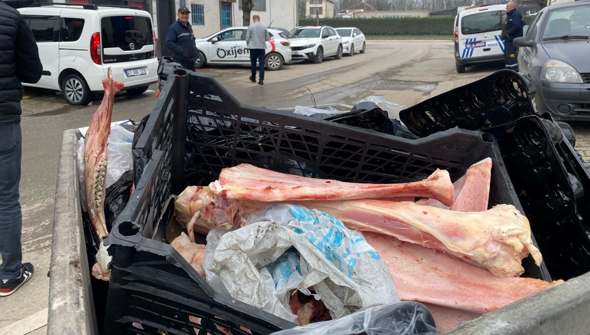 Düzce’de çöpten eti sıyrılmış at kemikleri çıktı Düzce’de çöpten eti sıyrılmış at kemikleri çıktı