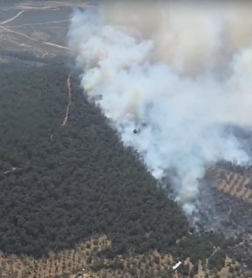 İzmir'de orman yangını: Alevler bazı evlere sıçradı - 3