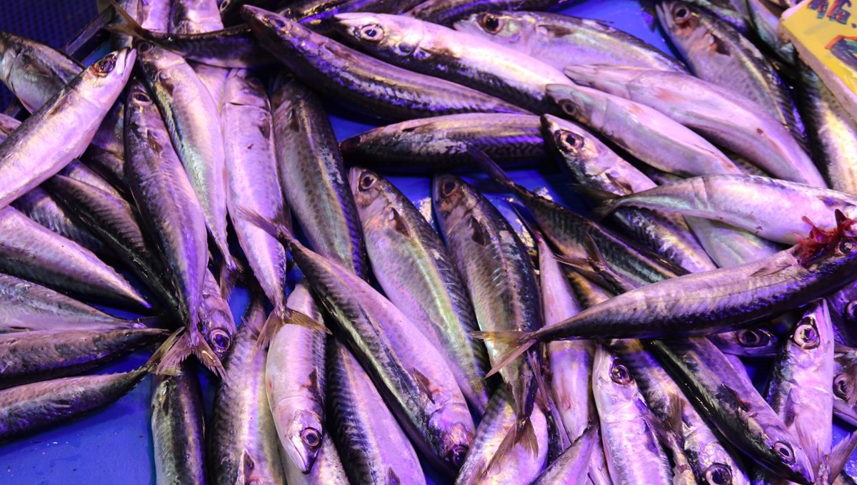 Müşteriyi balıkla dövdüler