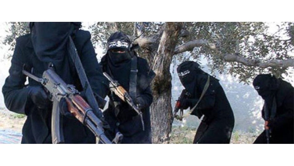 'Cihat yolcusu' Hollandalı kız serbest