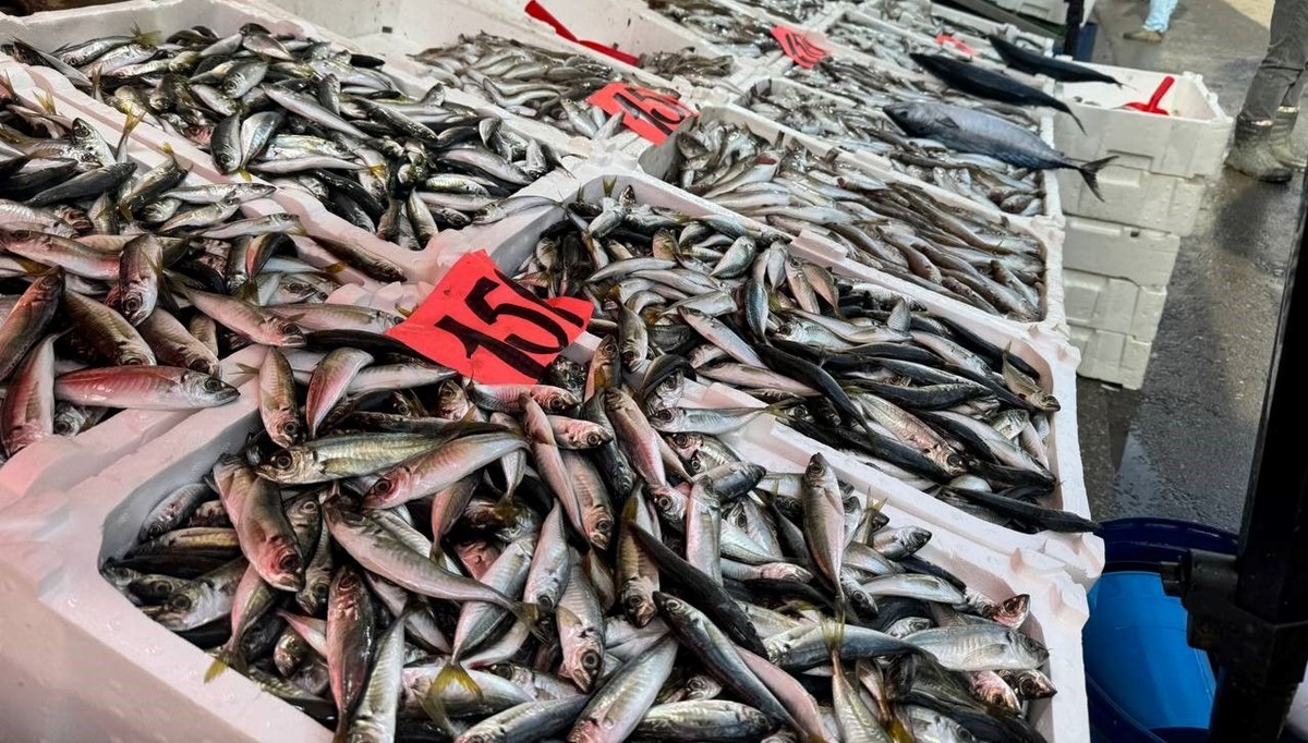 Fiyatının düşmesi bekleniyordu: Tezgahta 150 liradan alıcı buldu