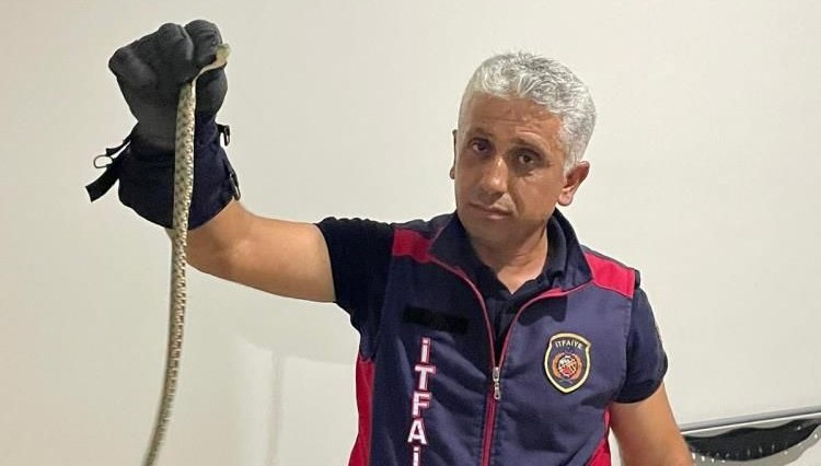 Hatay'da itfaiyenin yılan operasyonları