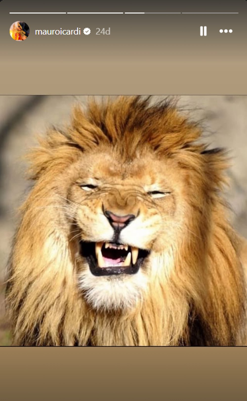 Fenerbahçe Beşiktaş'a yenildi, Mauro Icardi ve Osimhen'den paylaşımlar geldi: "Mayıs gelince" 74 T6KasO0nFk2HwgJRr5c1tg