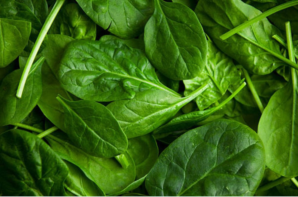 Meyve ve sebzeler hangi vitaminleri içeriyor? Meyve ve sebzeler hangi vitaminleri içeriyor? (Meyve ve sebzelerin besin değerleri) - 12