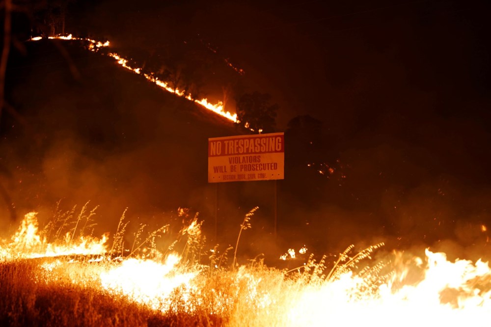 California'da 8 bin kilometrekare alan yandı, rekor kırıldı - 1