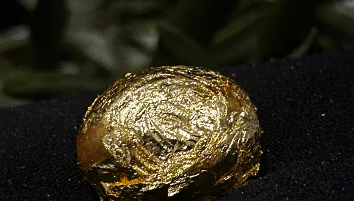 Altın zeytin görücüye çıktı Altın zeytin görücüye çıktı