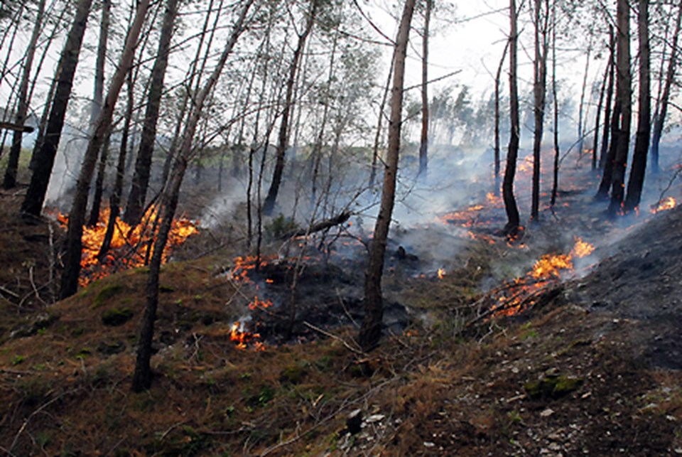 Orman yangınını pilotlar haber verdi - 1