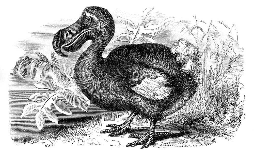 Yapay zeka gelecek yüzyılda insanlığın sonunu getirebilir: Oxford Üniversitesi'nden uyarı - 8