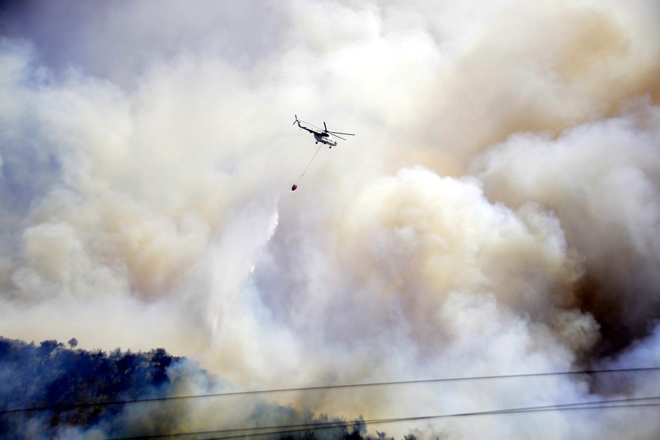 Mersin'de orman yangını - Son Dakika Türkiye Haberleri | NTV Haber