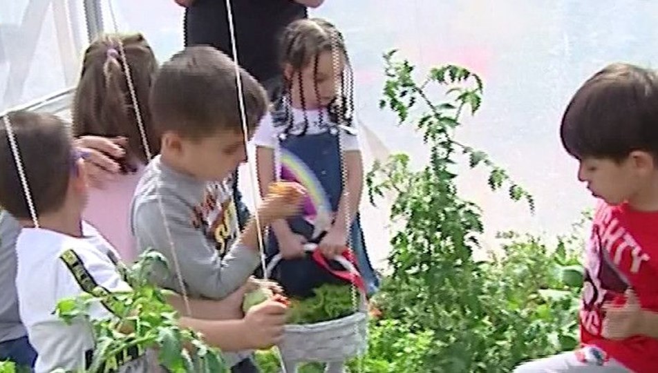 Ve kan basıncı neden yükselir