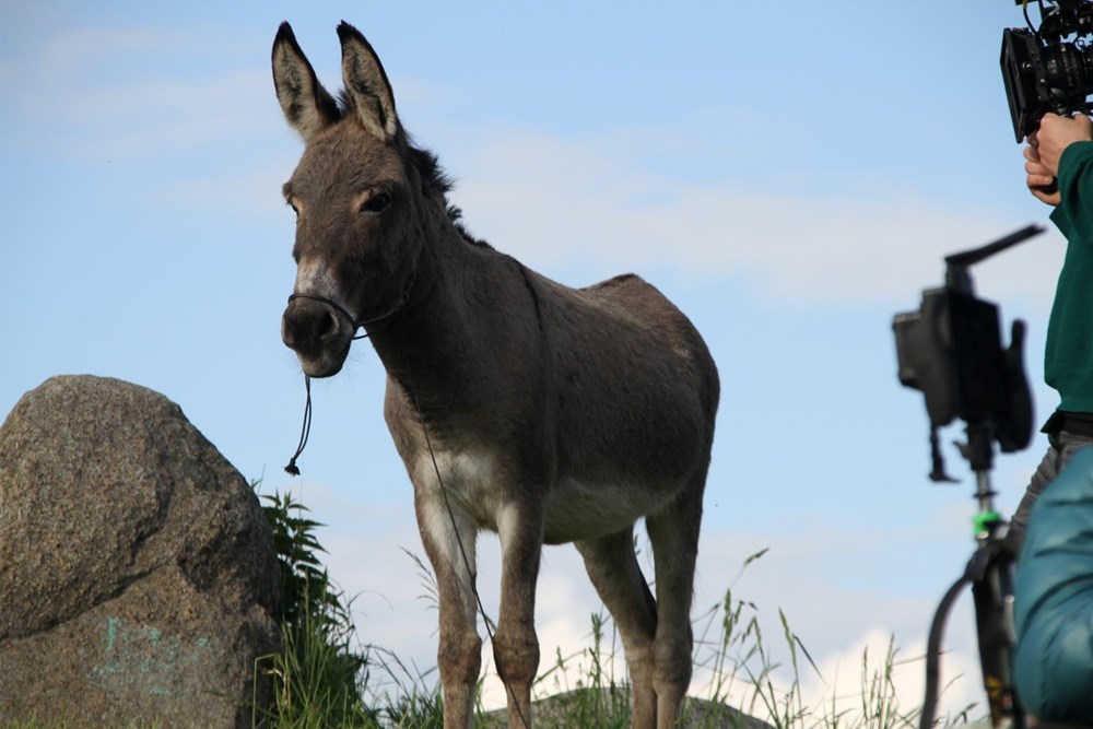 Time'a göre 2022'nin en iyi filmleri - 4
