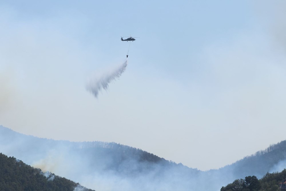 Kocaeli, Karaman, Afyonkarahisar ve Diyarbakır'da orman yangını - 2