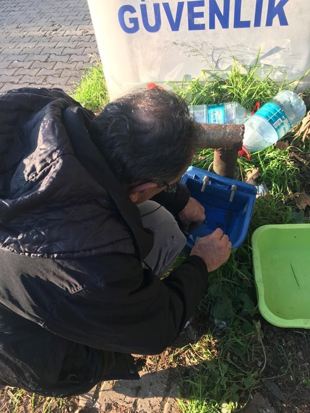 Adres bu sefer Maltepe: Kedinin kaburgaları kırıldı - 6