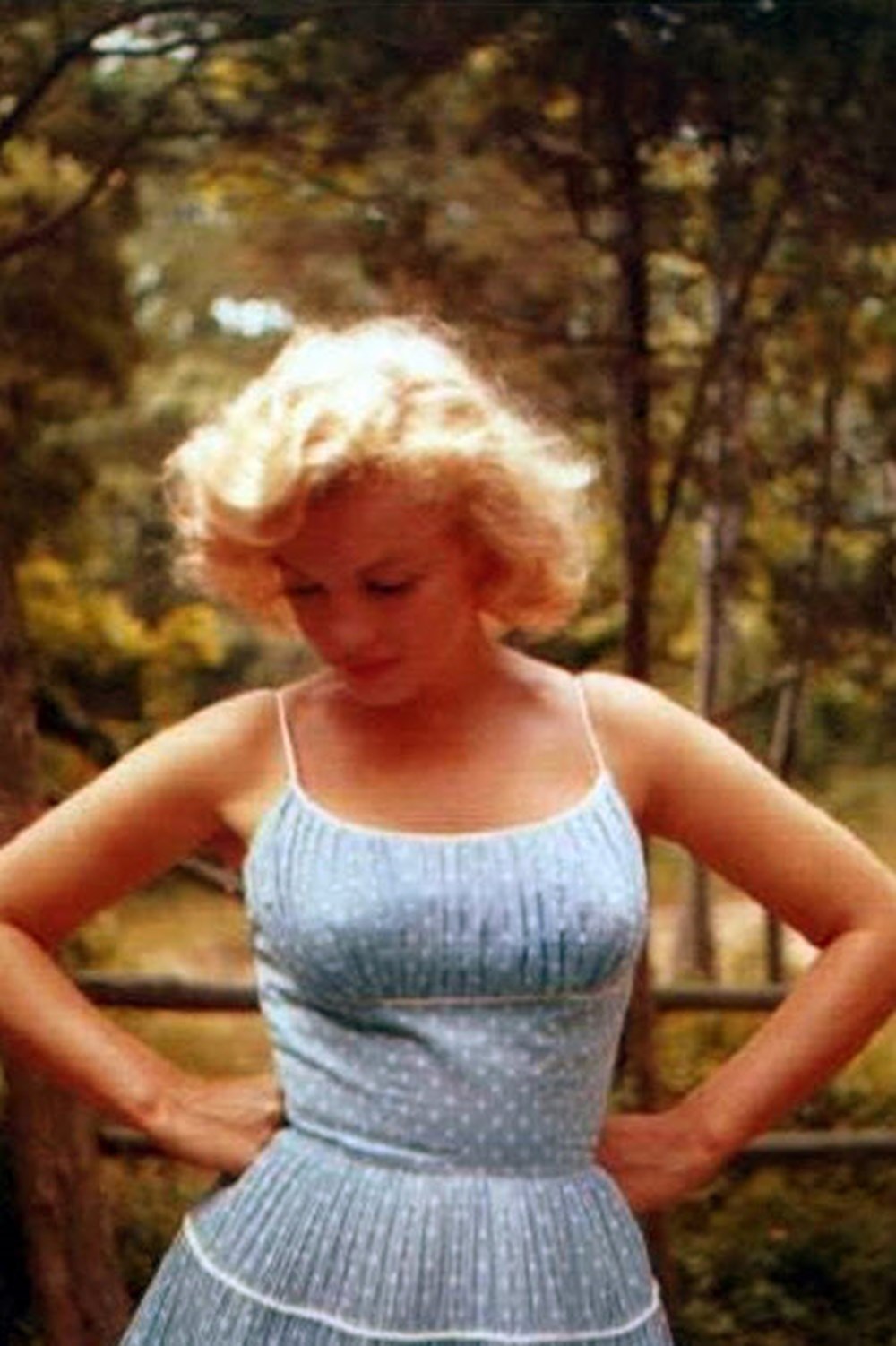 Summer monroe. Summer monroe. Мэрилин бассейн 1962. Интересные книги на лето. Мудрые мысли мэрилин монро.