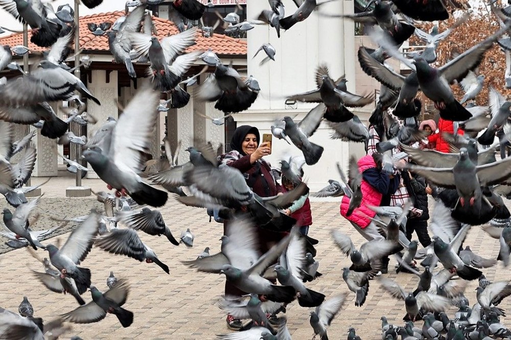 TH0o0Q mH0iSo2Z12dqflw