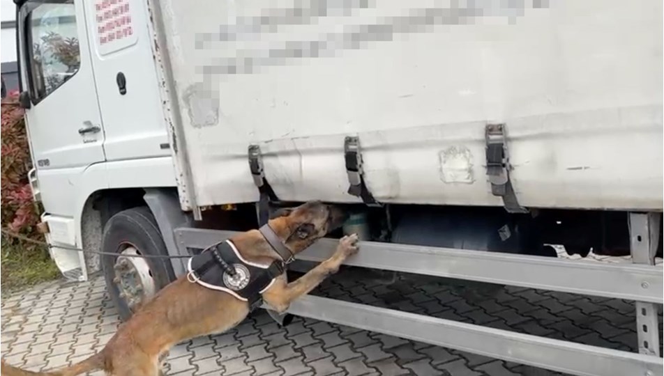 Narkotik köpeği, klimaların arasında binlerce uyuşturucu yakaladı