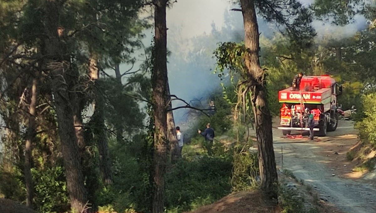 Hatay’da ormanlık alanda örtü yangını çıktı