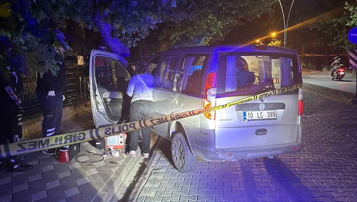 Ağaca çarpan ticari araç sürücüsü hayatını kaybetti Ağaca çarpan ticari araç sürücüsü hayatını kaybetti