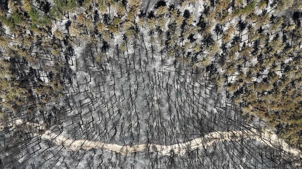 Tam 54 saat sürdü! Karabük'te yanan alanlar havadan görüntülendi - 2