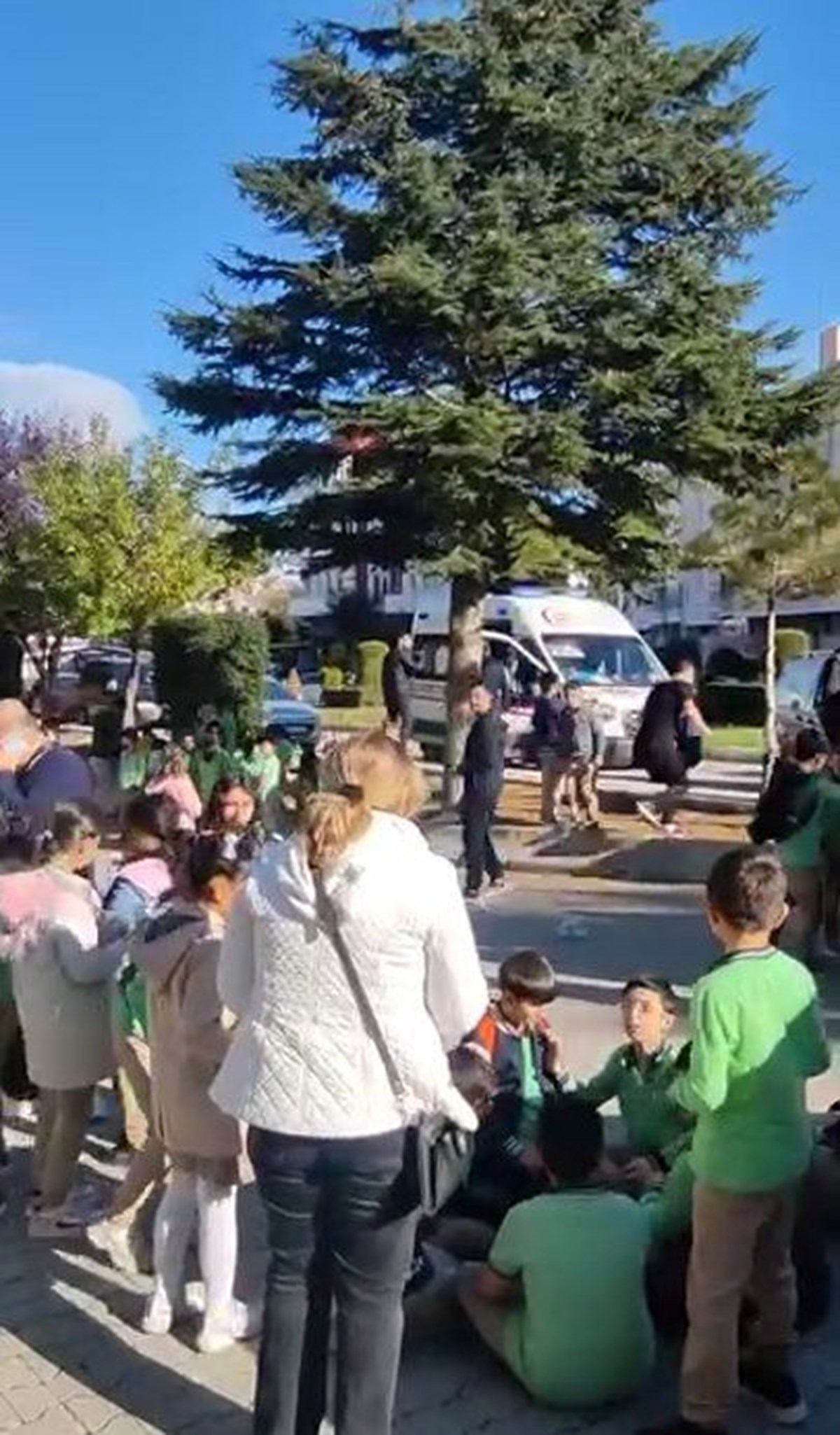 TJm6ljzvjEGexVM7OdbQ9w.jpg