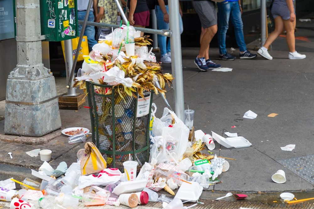 New York'u fareler bastı: Sıçan Şefi'ne 170 bin dolar maaş - 4