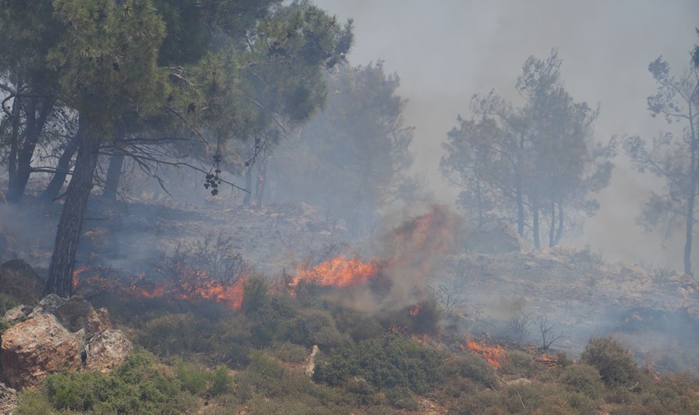 Ayvalık'taki yangın kontrol altında - 3