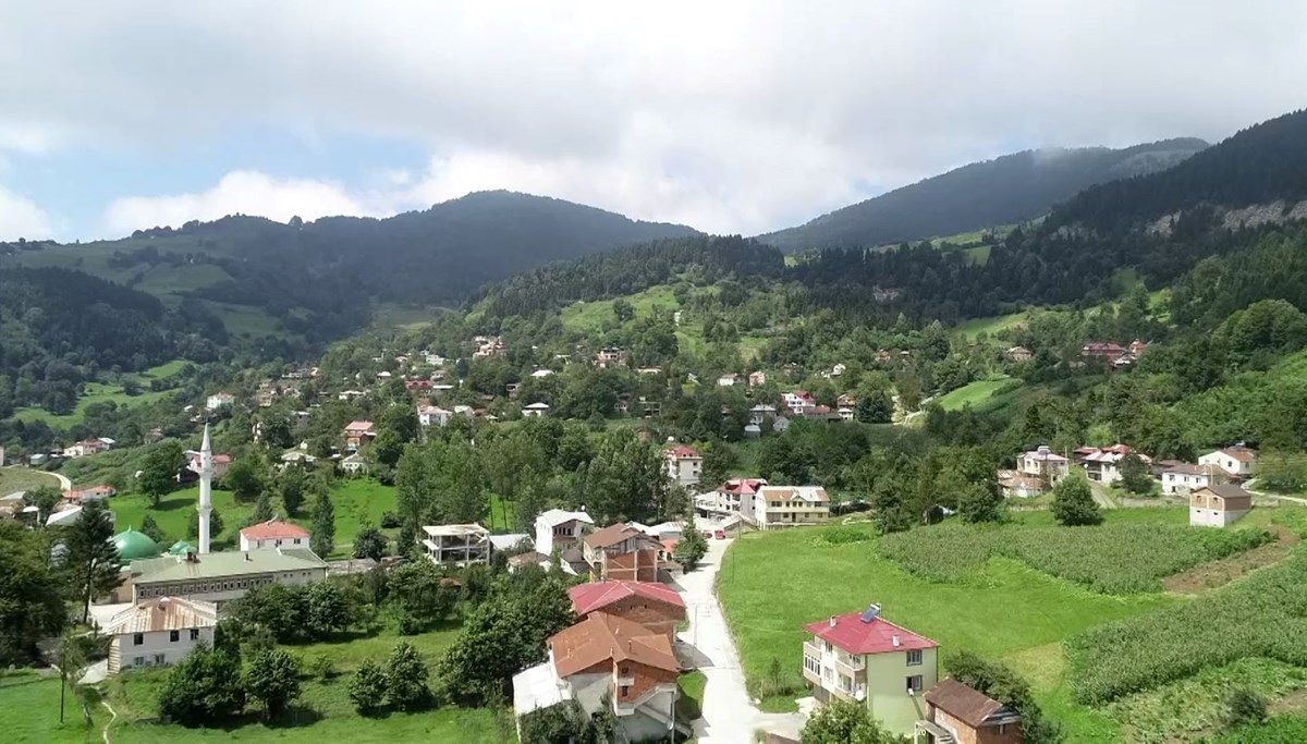 Türkiye’nin en fazla yağış alan ili Rize’de su kaynakları baskı altında