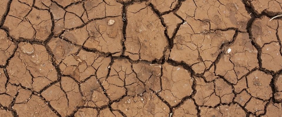 Bilim insanlarından küresel ısınma  uyarısı