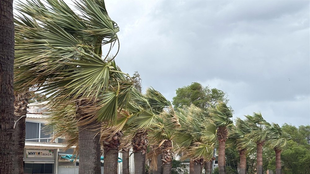 Ege Beyaza Boyandı: Fırtına Ağaçları Devirdi, Caddeleri Buz Pistine Çevirdi 78 TNBCsIFF1k6g5n3EBKGAcQ