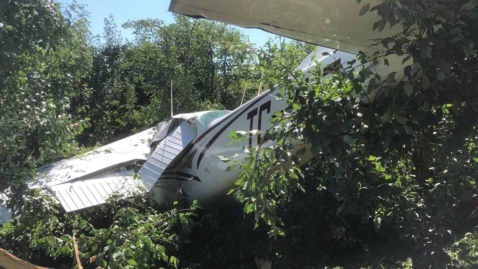 SON DAKİKA HABERİ: Bursa'da eğitim uçağı bahçeye indi - 1