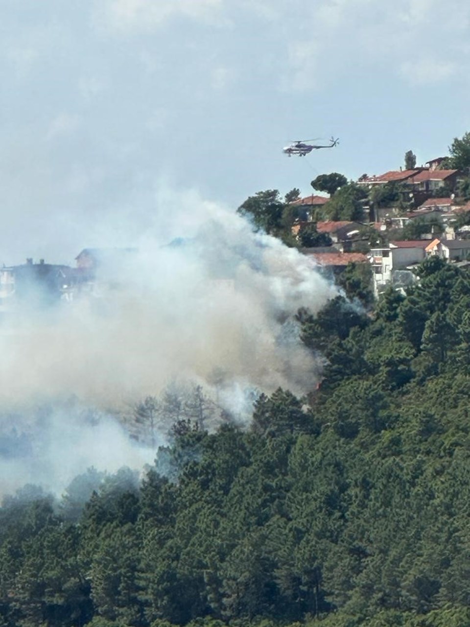 İstanbul Maltepe'de orman yangını - 1