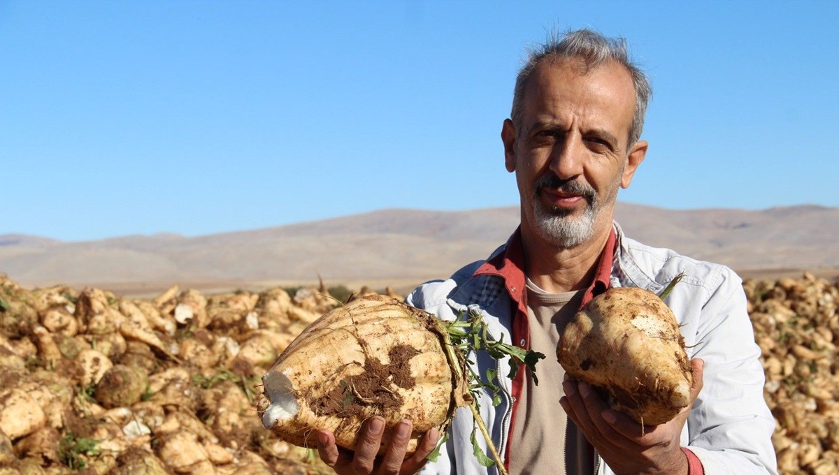 Üreticilerin önemli gelir kapısı: Hasat başladı