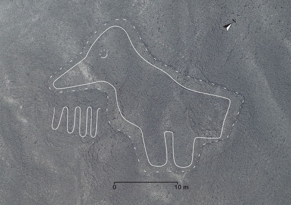 Peru'da 100'den fazla yeni Nazca jeoglifi keşfedildi - 12