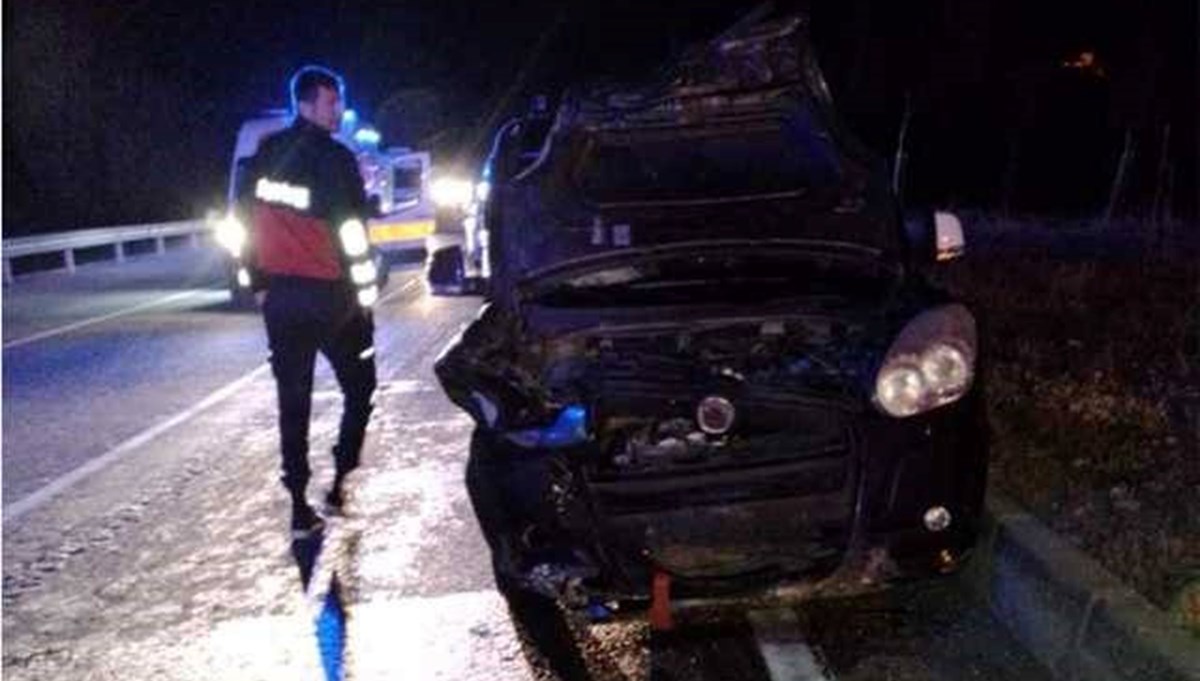 Ayıya çarpan araçtaki 6 kişi yaralandı Ayıya çarpan araçtaki 6 kişi yaralandı