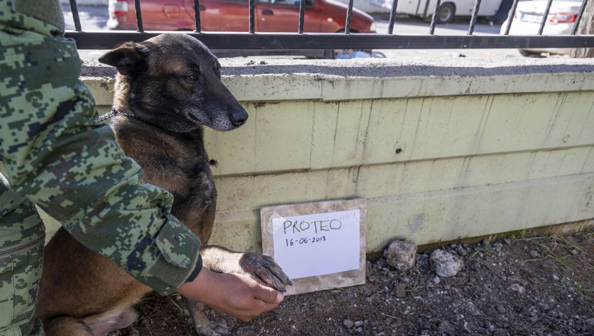 Meksika'nın arama kurtarma köpeği Proteo'ya Adıyaman'da hüzünlü veda: 3 kişinin enkazdan çıkmasını sağladı