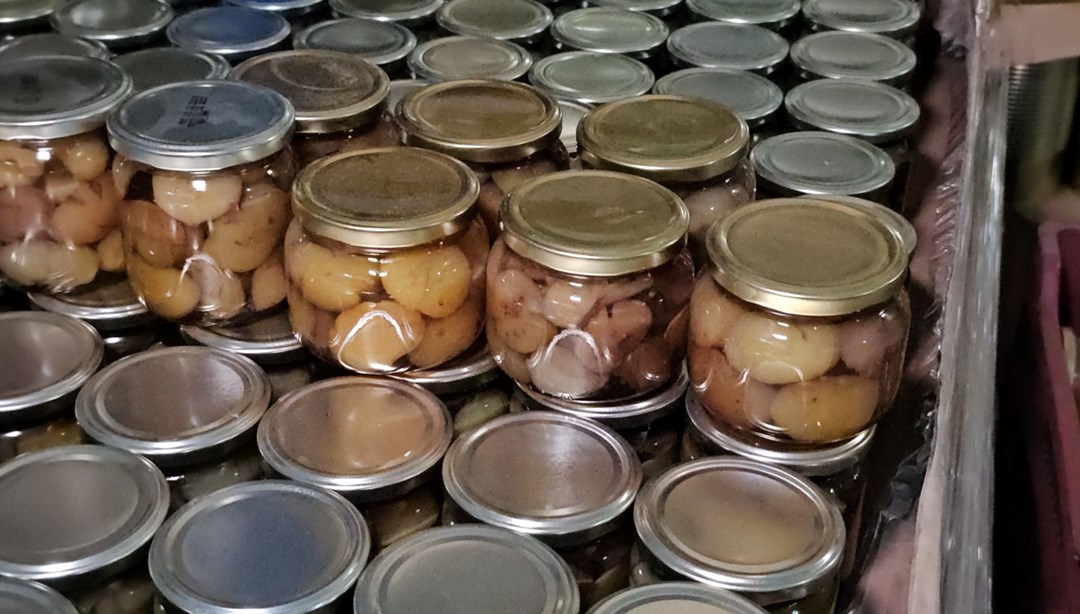 18 yıl önce üretmeye başladı, lezzeti sınırları aştı! "Japonlar sadece bizden alıyor"