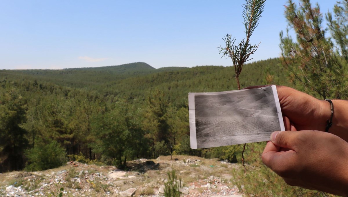 Çorak arazi 40 yılda ormana dönüştürüldü