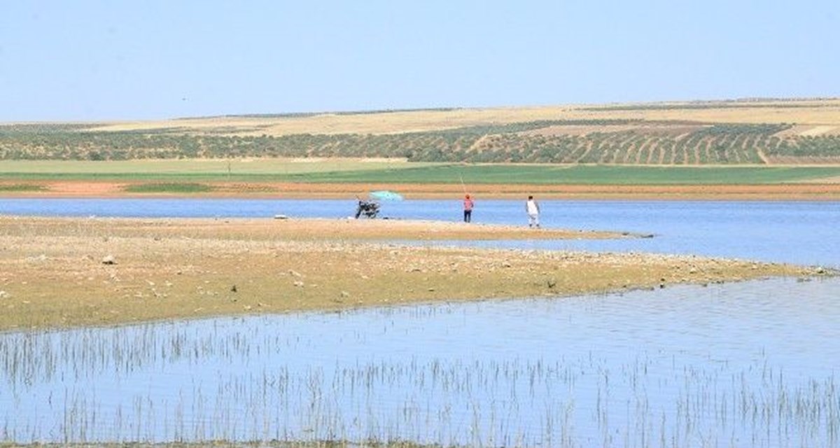 Kayacık Barajı'ndaki balık ölümlerine inceleme