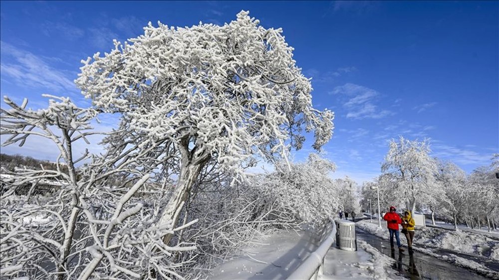 ABD’de kutup soğukları alarmı: Hava sıcaklığı eksi 50 dereceye
kadar düşecek - 2