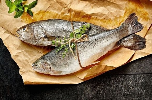 baligi kizartmadan yiyin saglik haberleri ntv