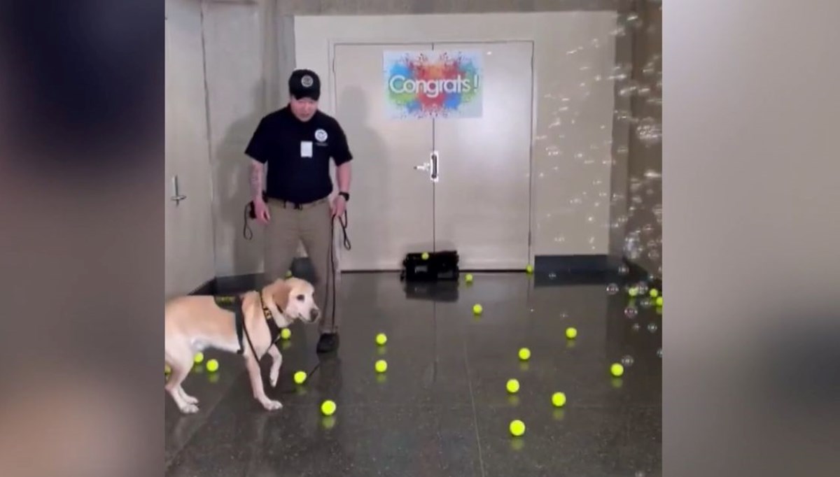 Emekli olan bomba tespit köpeğine sürpriz veda partisi Emekli olan bomba tespit köpeğine sürpriz veda partisi