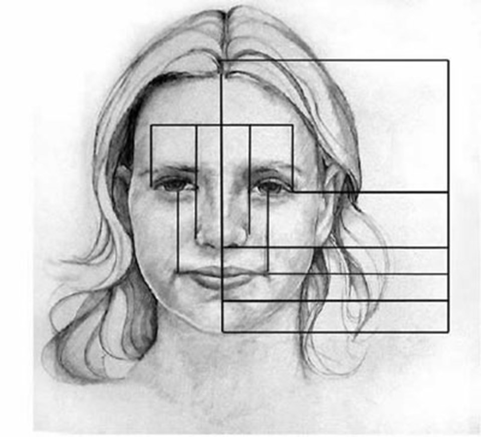 Портрет человека 4 класс изо. Пропорции лица. Портрет пропорции лица. Пропорции лица человека для рисования. Пропорции лица человека карандашом.