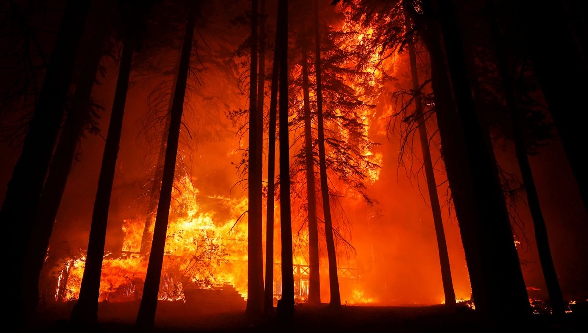 California’da yangın sürüyor: 756 kilometrekare alan kül oldu