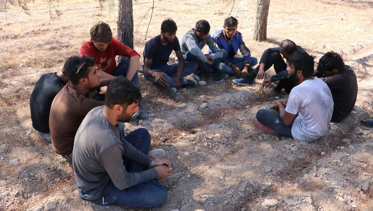 Şanlıurfa'da fındık bahçesinde saklanan göçmenler yakalandı