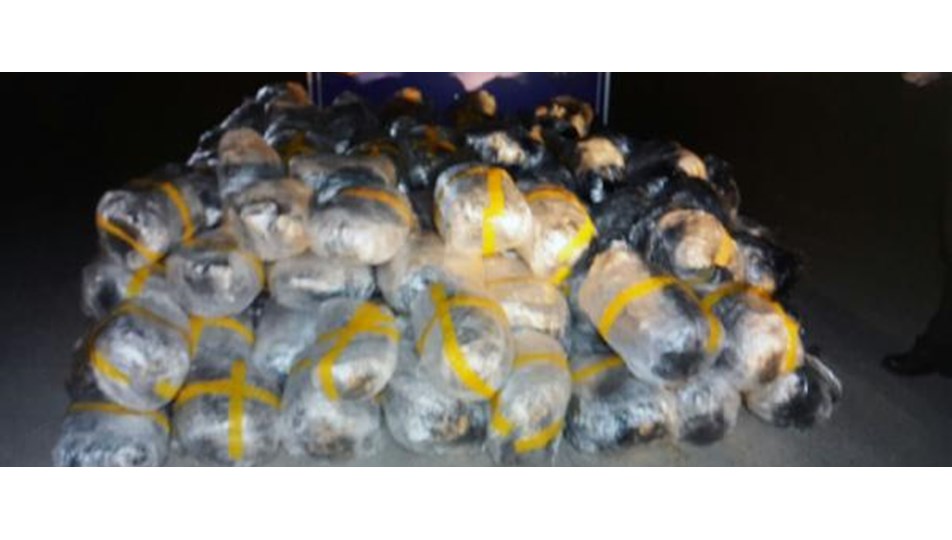 Saman çuvallarının arasından 770 kilo esrar çıktı
