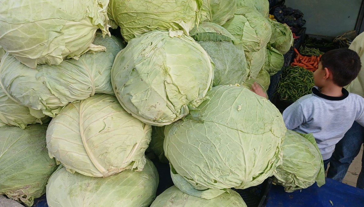 Satışına yoğun ilgi var: Hasadı tamamlandı, artık tezgahta