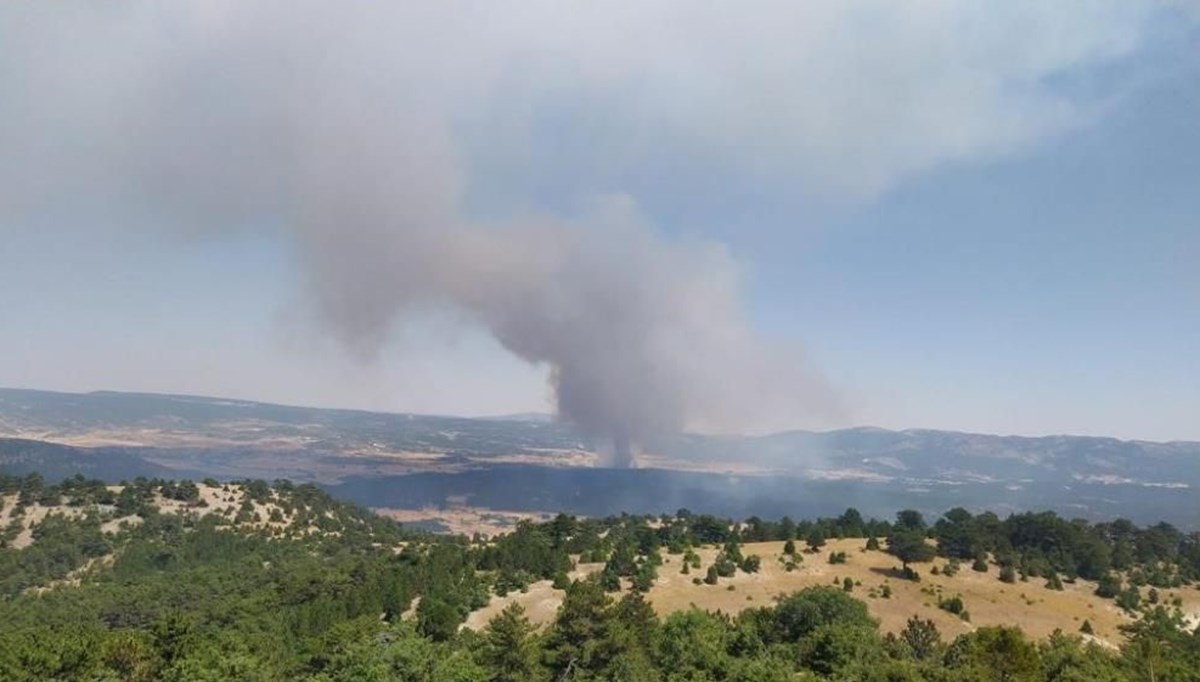 Eskişehir’de orman yangını